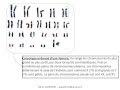 Ref:lpAJngh_SpE Svt - cours - etudier un caryotype