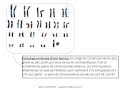 Svt  cours  etudier un caryotype