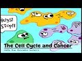 (OLD VIDEO) The Cell Cycle and Cancer