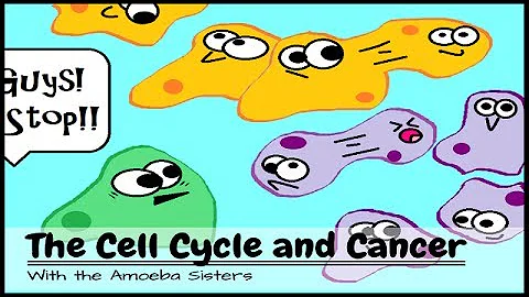 (OLD VIDEO) The Cell Cycle and Cancer