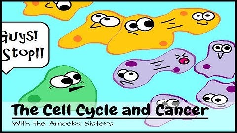 (OLD VIDEO) The Cell Cycle and Cancer
