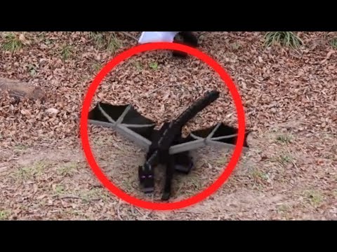 5 MINECRAFT caught on camera in real life