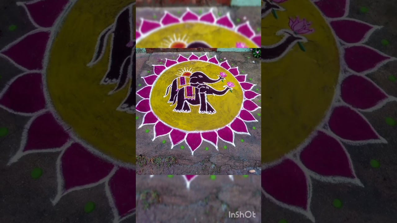 beautiful elephant rangoli /kolam 