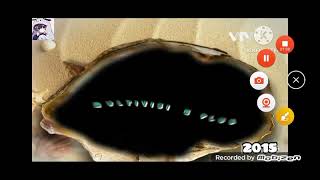 Download lagu kompilasi endcap antv 2010-2026