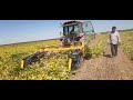 Bean  Harvesting Machine