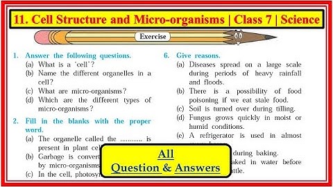 cell structure and micro-organisms। Question answers। Chapter 11 Exercise class 7th science #std7th