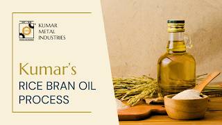 Rice bran oil extraction process | From rice bran to solvent extracted oil