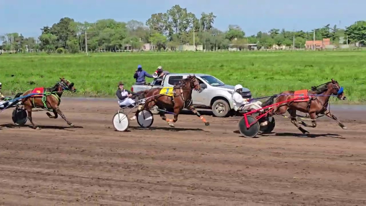 A. A. Daisy Productos Perdedores