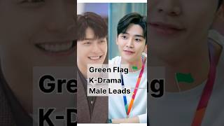 Green Flag Kdrama Male lead❤️kdrama kdramaedit queenoftears businessproposal truebeauty shorts