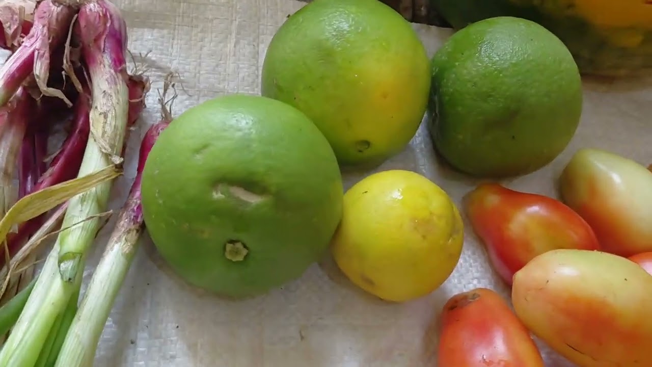 የመኮይ የማክሰኞለት ገበያ የኩዳር ና   ፈዋካ ዋጋ ይሄን ይመስላል ላይክና ሰብስክራይብ አትርሱ