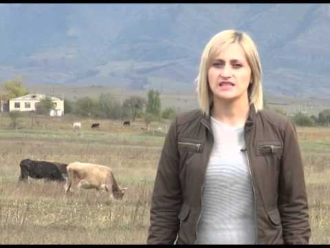 21 ოქტომბრის \"ფერმერის საათის\" ანონსი