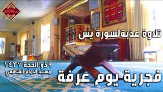 رعد الكردي - فجرية يوم عرفة ,, ما تيسر من سورة یـس ,, 9 ذو الحجـة 1437 / من الأرشيف