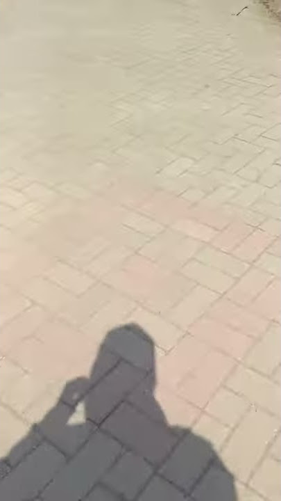 status wa halu lagi joging lari pagi