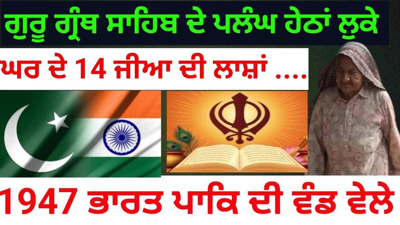 ਪਰੀਵਾਰ ਦੇ 14 ਜੀਆ ਦੀਆ ਲਾਸ਼ਾਂ ਤੋਂ ਲੰਘ ਕੇ 🇮🇳 ਆਈ  #trending #short #viral #youtube #punjabitrevelvideo