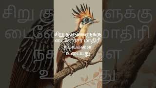 #Hoatzin #StrangeBirds #RareAnimals #WildlifeFacts #NatureMystery #AncientCreatures #AnimalWorld