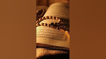 لا تقلق الله على علم بكل ما هو ظاهر و باطن ❤️ #قرآن #تلاوة_خاشعة #اسلام_صبحي #اكسبلور