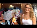 Woman and Her Pet Bearded Dragon Disappear During Road Trip
