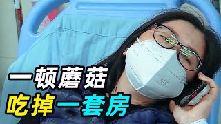 一顿蘑菇吃掉一套房！广东一家四口吃野蘑菇进ICU，卖房治病都不够