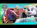 Skye and Everest save Ms. Marjorie and more! - PAW Patrol Episode - Cartoons for Kids Compilation