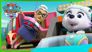 Skye and Everest save Ms. Marjorie and more! - PAW Patrol Episode - Cartoons for Kids Compilation