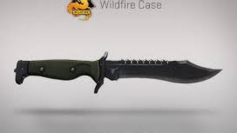 CSGO UPDATE: NEW KNIFE, SKINS, MAPS! OPERATION WILDFIRE!!