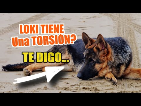 La HINCHAZÓN en