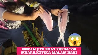 viral!!! Inilah Termasuk Umpan Andalan Predator Muara Ketika Mancing Malam.#mancingmalam