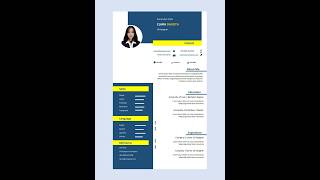 Professional CV Design in MS Word