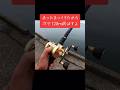 飛ばし過ぎてゴメン🙇 #両軸遠投カゴ釣り #カルカッタコンクエスト