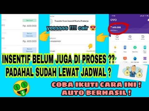 Tips Agar Insentif Cepat Di Proses Akhirnya Nerima Insentif Juga Youtube