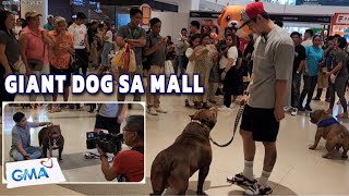 KRONOS PINAGKAGULUHAN SA AYALA MALLS MANILA BAY PET SUMMIT | FIRST TIME NI KRONOS SA MALL