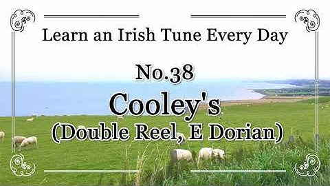 038 Cooley