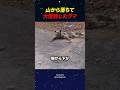 【300万再生】山から落ちて大怪我したクマ
