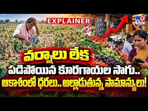 EXPLINER : వర్షాలు లేక పడిపోయిన కూరగాయల సాగు.. ఆకాశంలో ధరలు.. అల్లాడుతున్న సామాన్యులు! Karimnagar - TV9