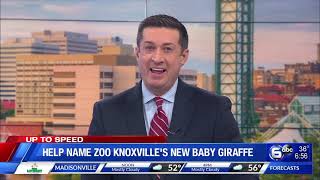 Doug Currin Anchor April 2021