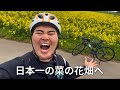 日本一の菜の花畑へ。