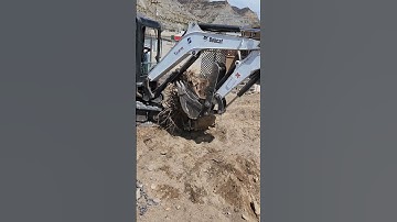 pulling bug tree stumps with bobcat e50 rolling them into dump trailer.