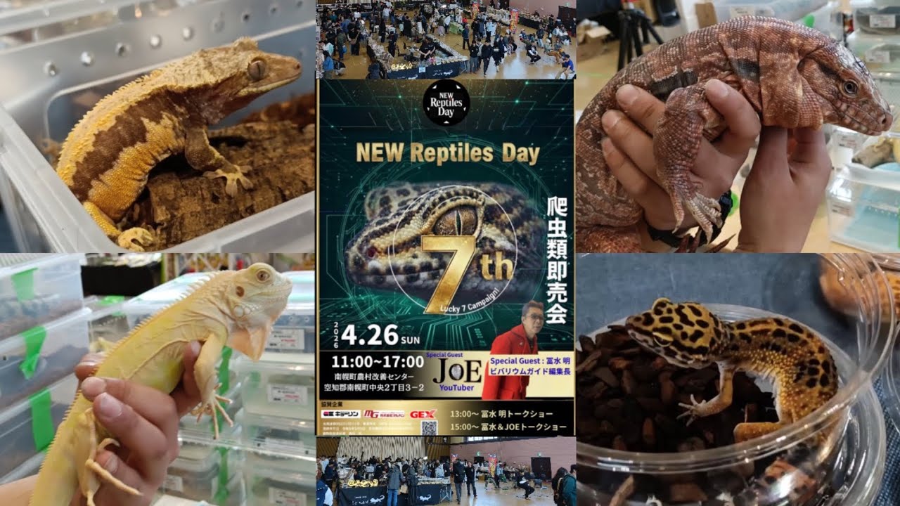 Reptile Event] A reptile event full of firsts in Nanporo Town