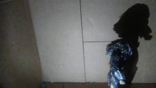 Avp Stop motion test (stop motion)