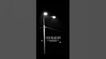 تلاوة من سورة " السجدة " القارئ إسلام صبحي . 😴 #تلاوات #تلاوة_هادئة
