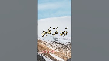 سورة الفلق بصوت جميل تلاوة عطرة بصوت القارئ مصطفى الفرجاني .. قرآن كريم