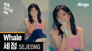 🐳The moment you hear SEJEONG's voice, the summer sea unfolds before you | SEJEONG - Whaleㅣdingomusic