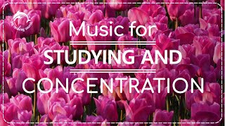 🌼👨‍🏫Music for Studying And Concentration. Ambient Piano Music. Featuring Flowers.