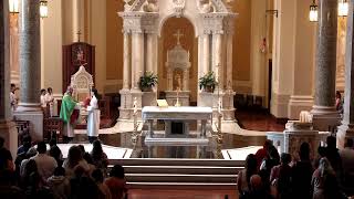 XV Domingo Ordinario l Cathedral of the Immaculate Conception