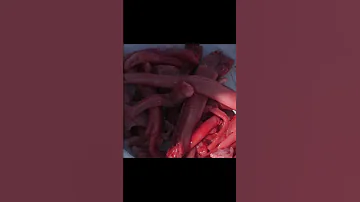 Едим сырой костный мозг оленя #shorts #cooking