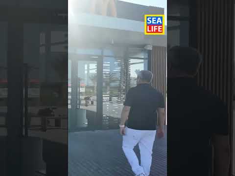 McDonald’s в Sea Breeze 🌊🍔 Новый уровень отдыха на Каспийском море!
