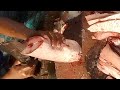 Amazing fish cutting slice expert in bangladesh    part84