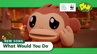 What Would You Do | Didi & Friends x WWF Malaysia | International Orangutan Day!