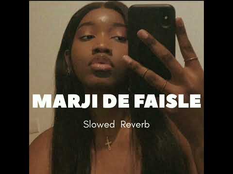 MARJI DE FAISLE SONG | (SLOWED REVERB) | Gill Raunta | Dakuaan Da Munda | HIMMAT SINDHU