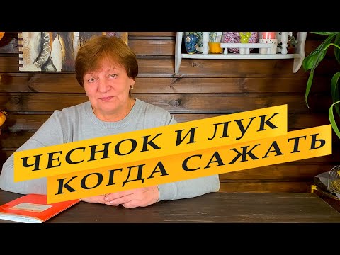 Когда сажать чеснок и лук под зиму. Температура. Лунный календарь.